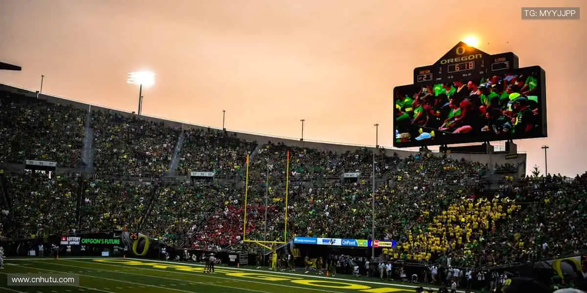 📱随时随地，精彩赛事永不离线！